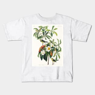 Bachman's Warbler from Birds of America (1827) Kids T-Shirt